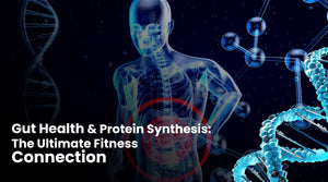 Gut Health and Protein Synthesis: The Ultimate Fitness Connection