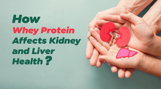 How Whey Protein Supports Kidney and Liver Health