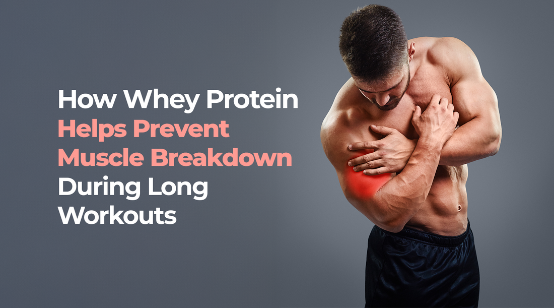 How Whey Protein Helps Prevent Muscle Breakdown During Long Workouts